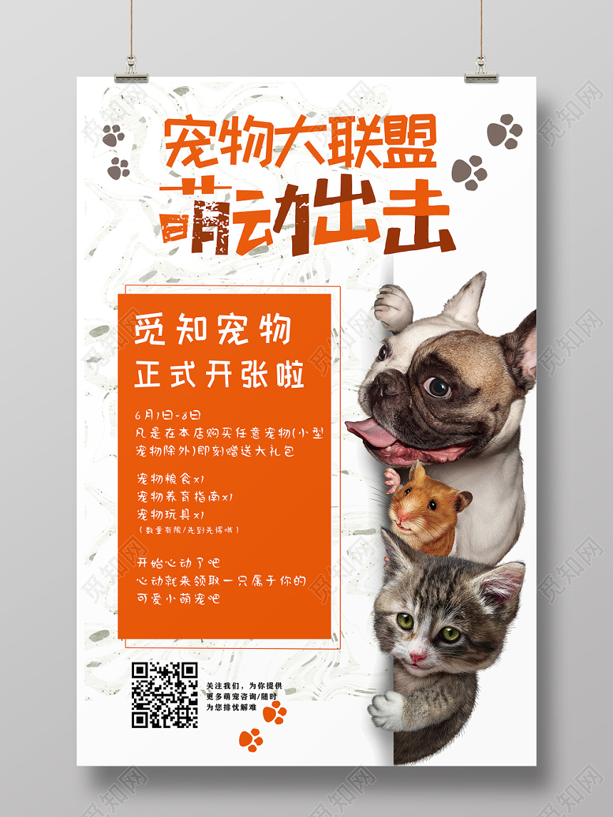 简约可爱宠物动物宠物大联盟萌动出击宠物店开张海报