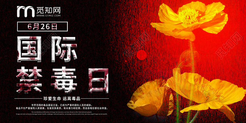 2019年626黑色大气简约国际禁毒日宣传展板设计