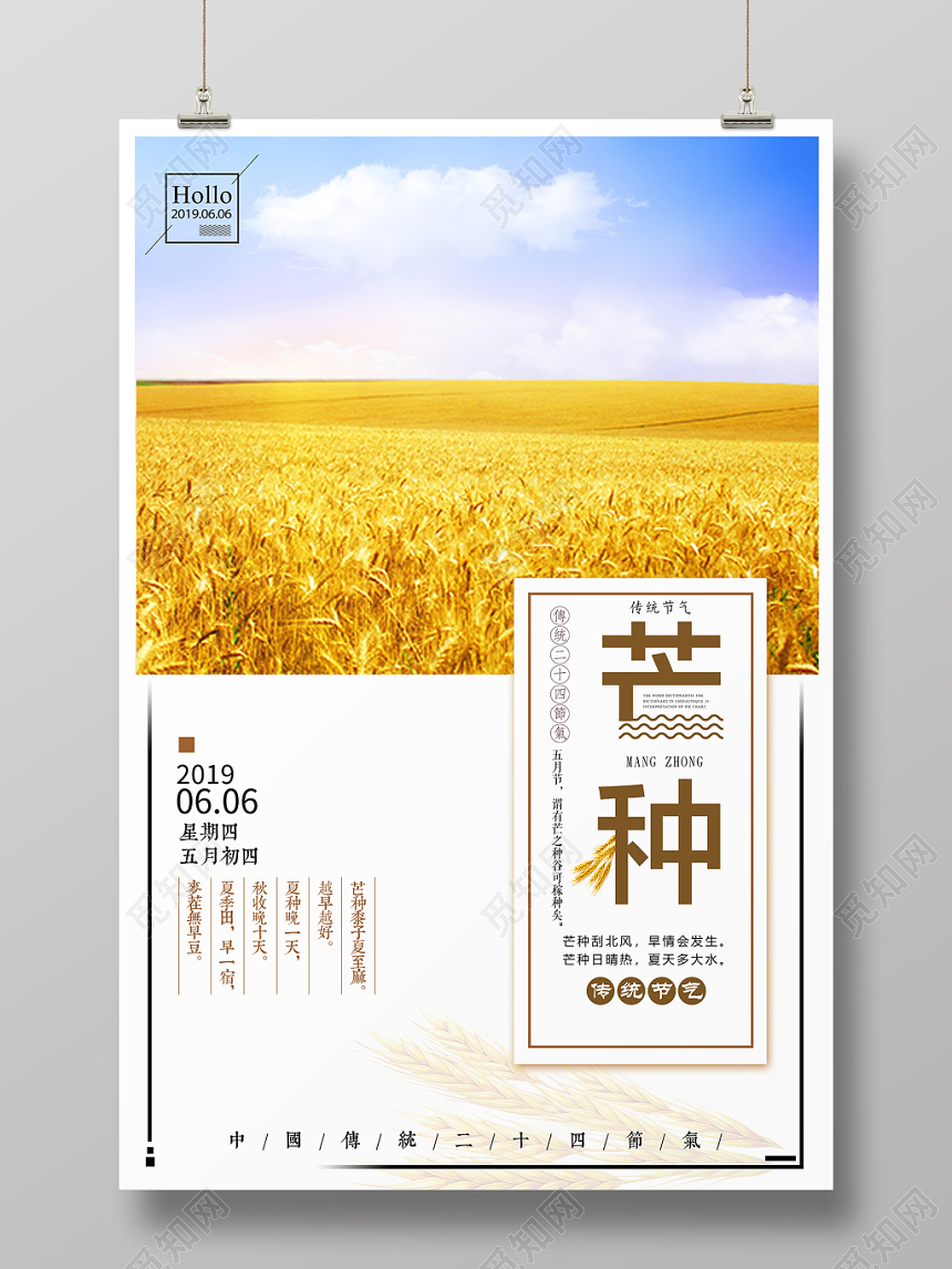 中国传统二十四节气芒种主题海报