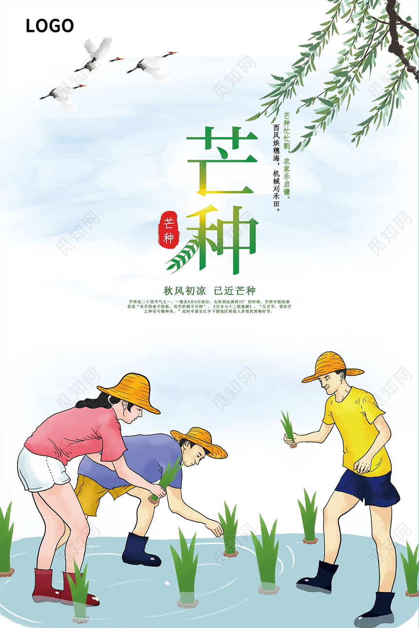中国传统二十四节气芒种卡通水彩水稻展示海报