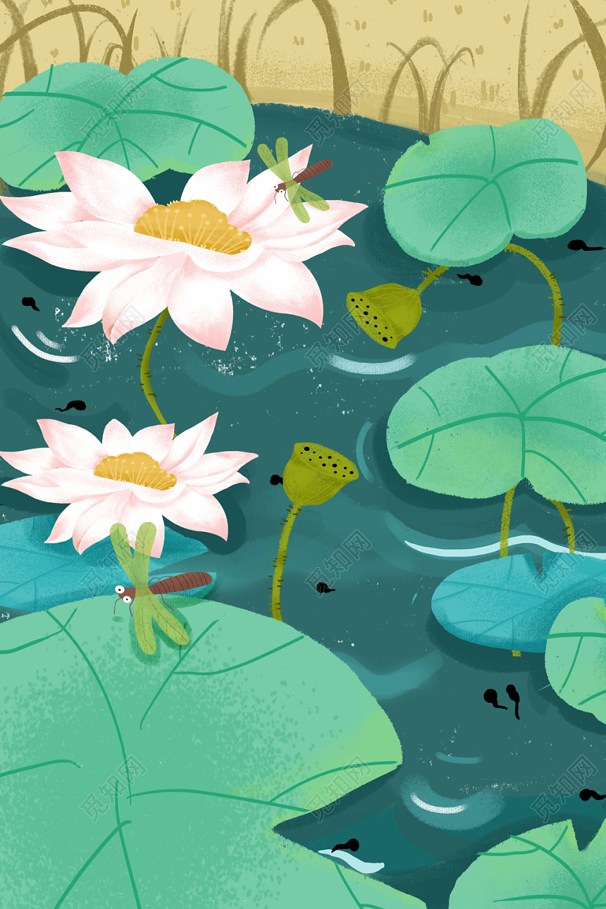 二十四节气小暑海报