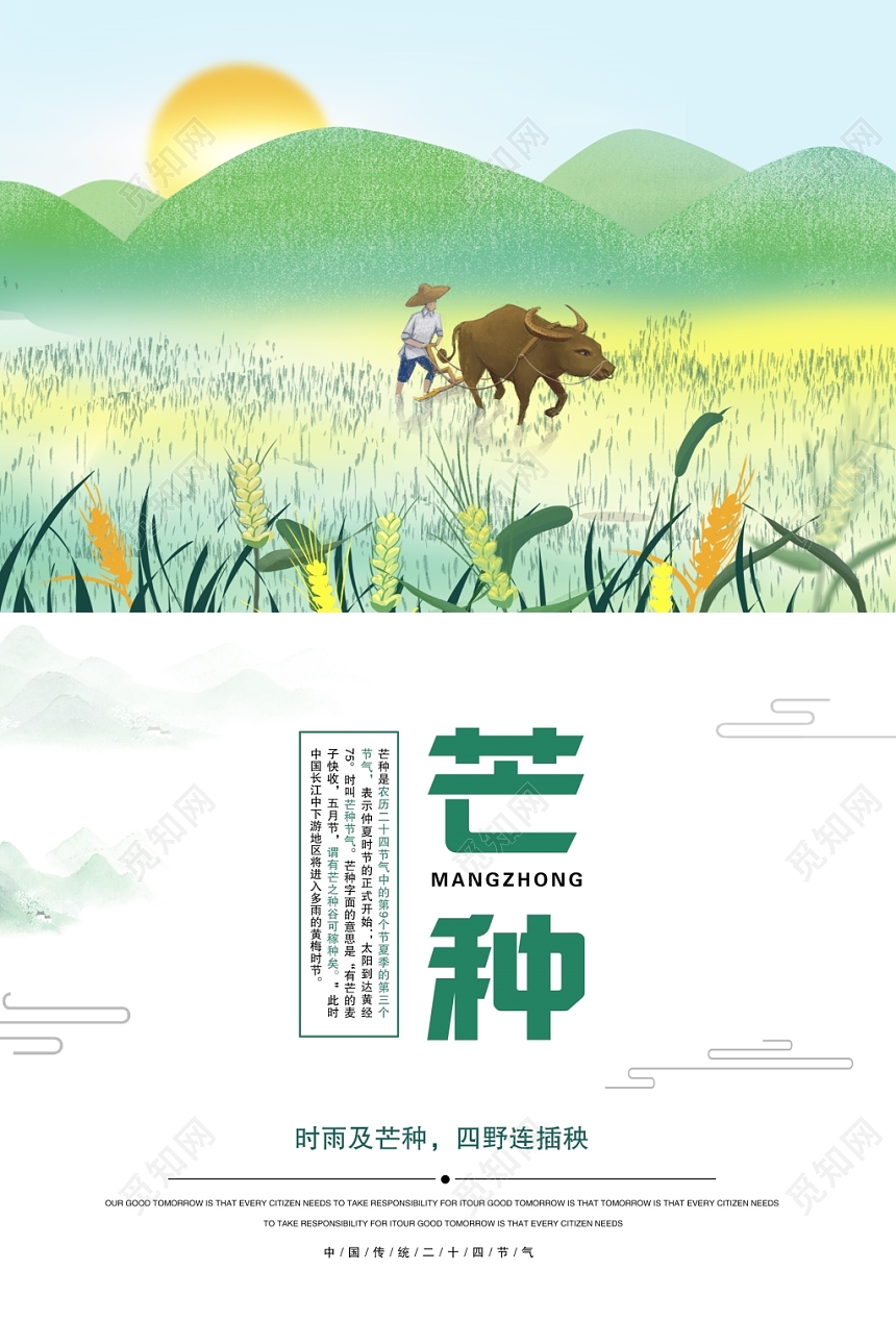 小清新芒种传统二十四节气海报设计