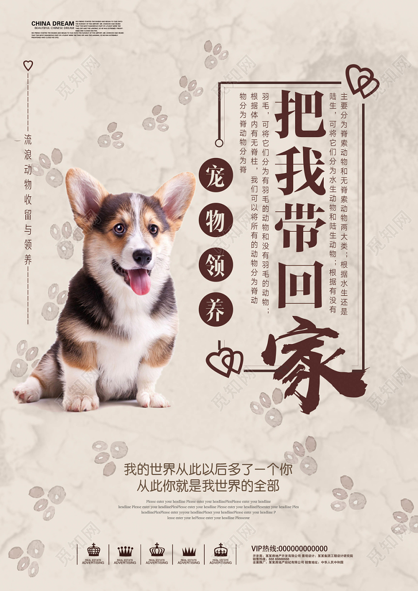 清新淡雅宠物店宣传单宠物领养动物单页