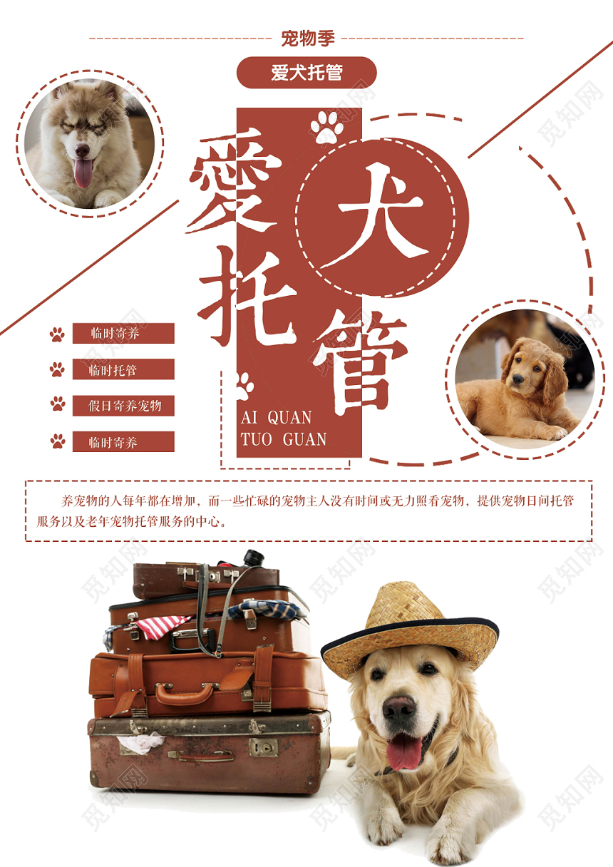 清新可爱宠物店宣传单爱犬托管动物单页