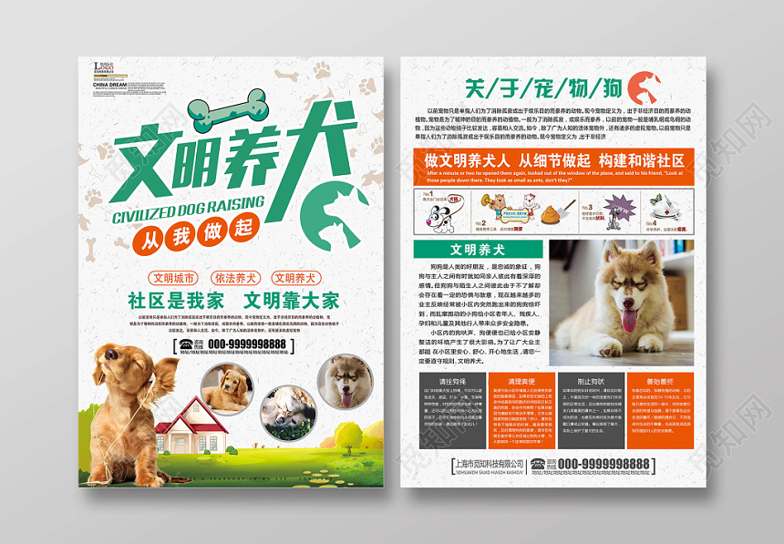 清新大气宠物店宣传单文明养犬动物单页