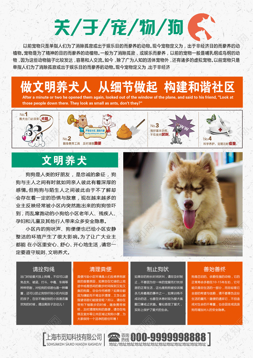 清新大气宠物店宣传单文明养犬动物单页