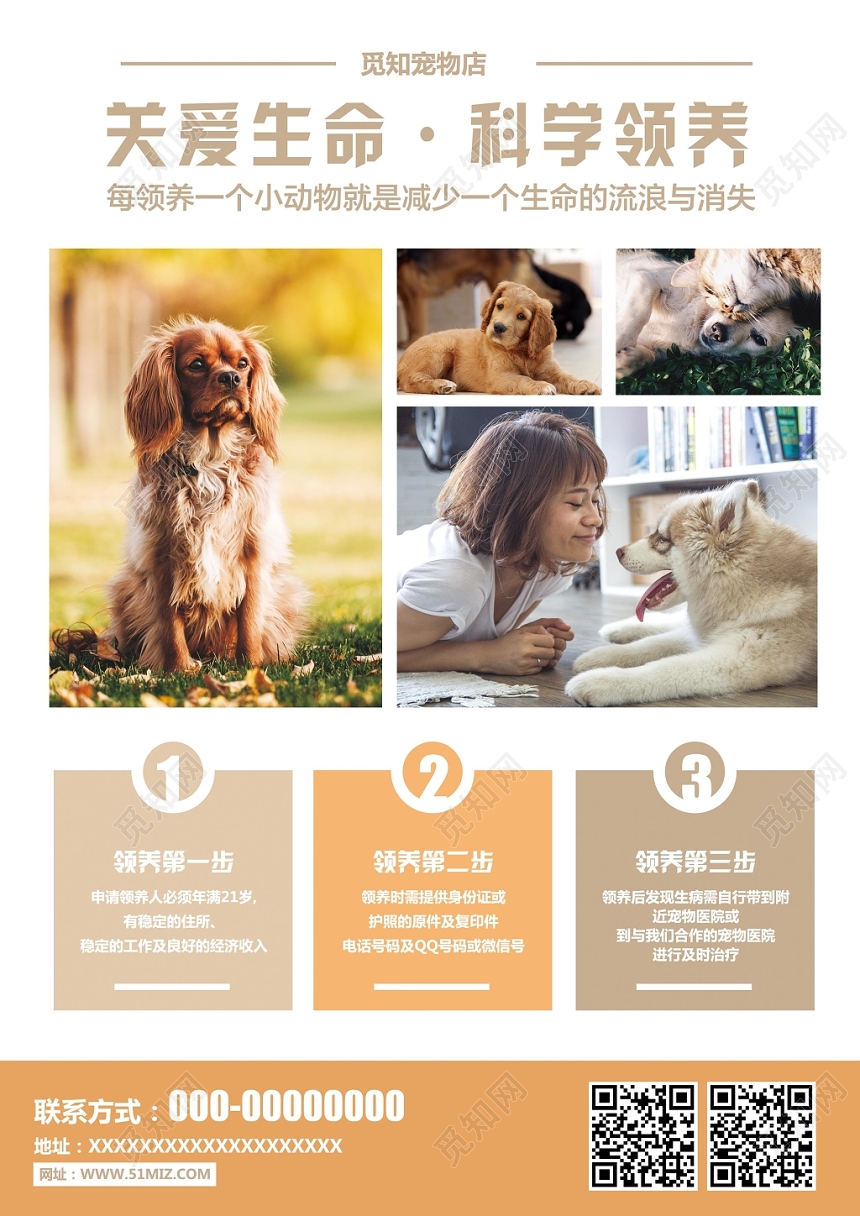 可爱创意宠物店宣传单宠物领养动物单页