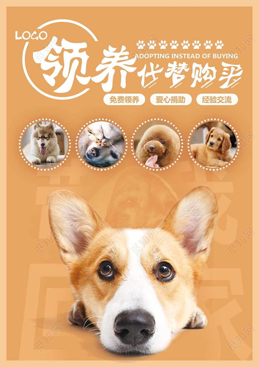 可爱创意宠物店宣传单宠物领养动物单页