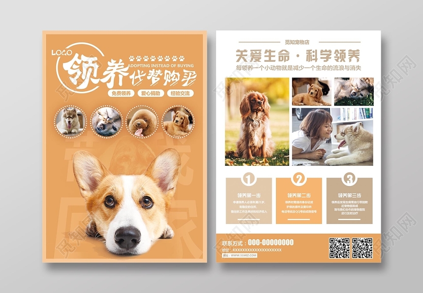可爱创意宠物店宣传单宠物领养动物单页