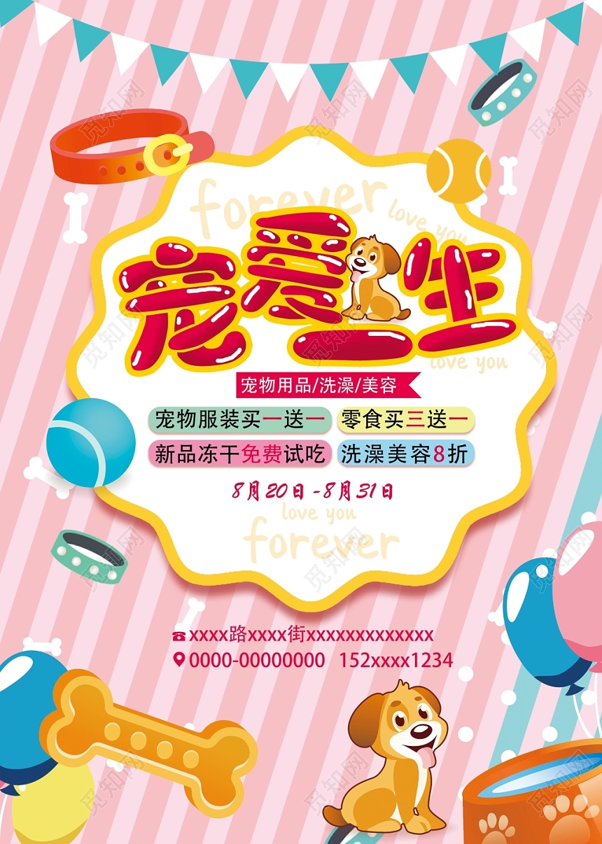 简约时尚宠物店宣传单宠爱一生动物单页