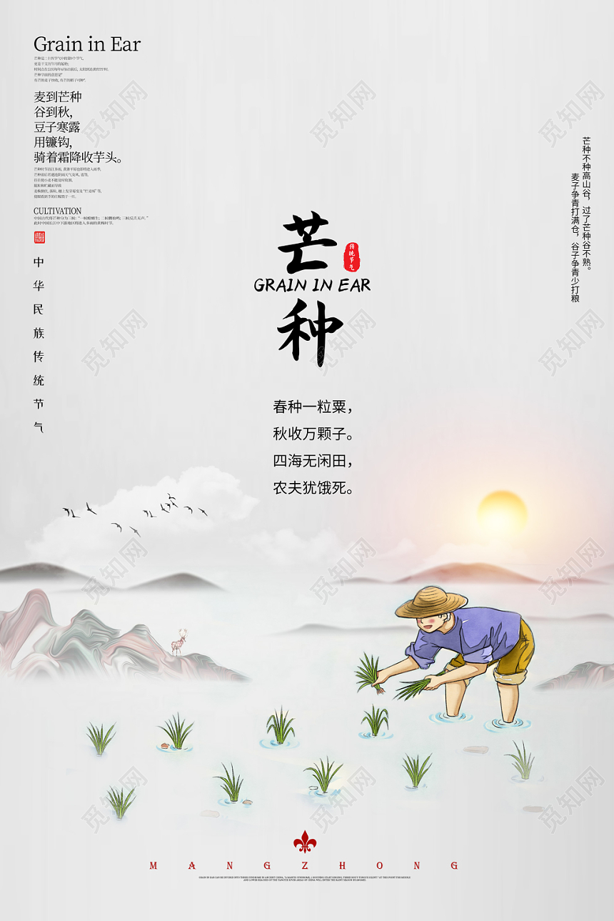 中式创意传统二十四节气之芒种水稻插秧麦子节气宣传海报