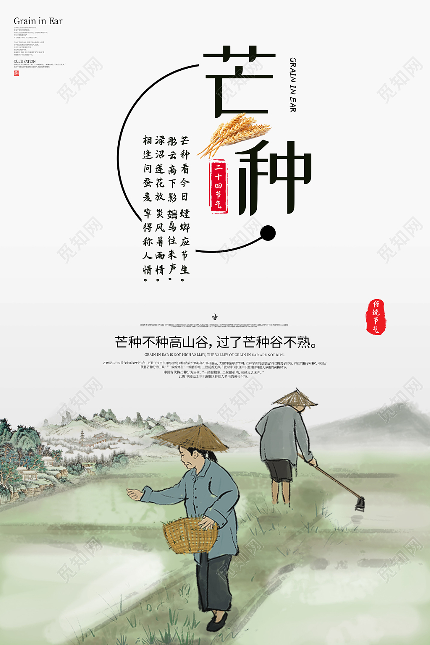 简约传统二十四节气之芒种节气宣传创意海报