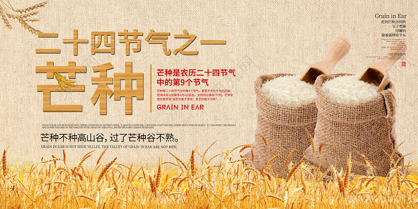 创意传统二十四节气之一芒种宣传展板