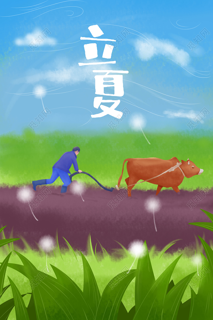 二十四节气立夏海报