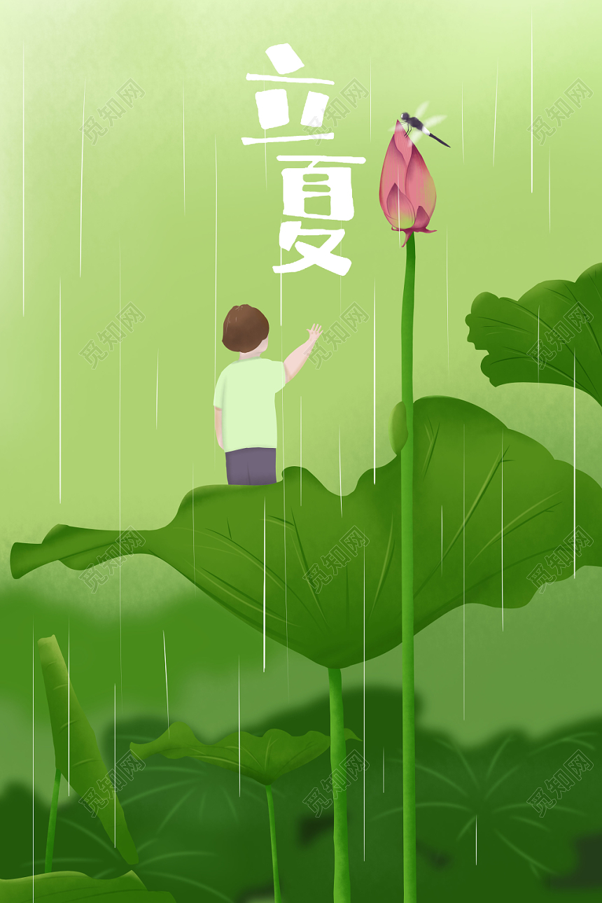 二十四节气立夏海报