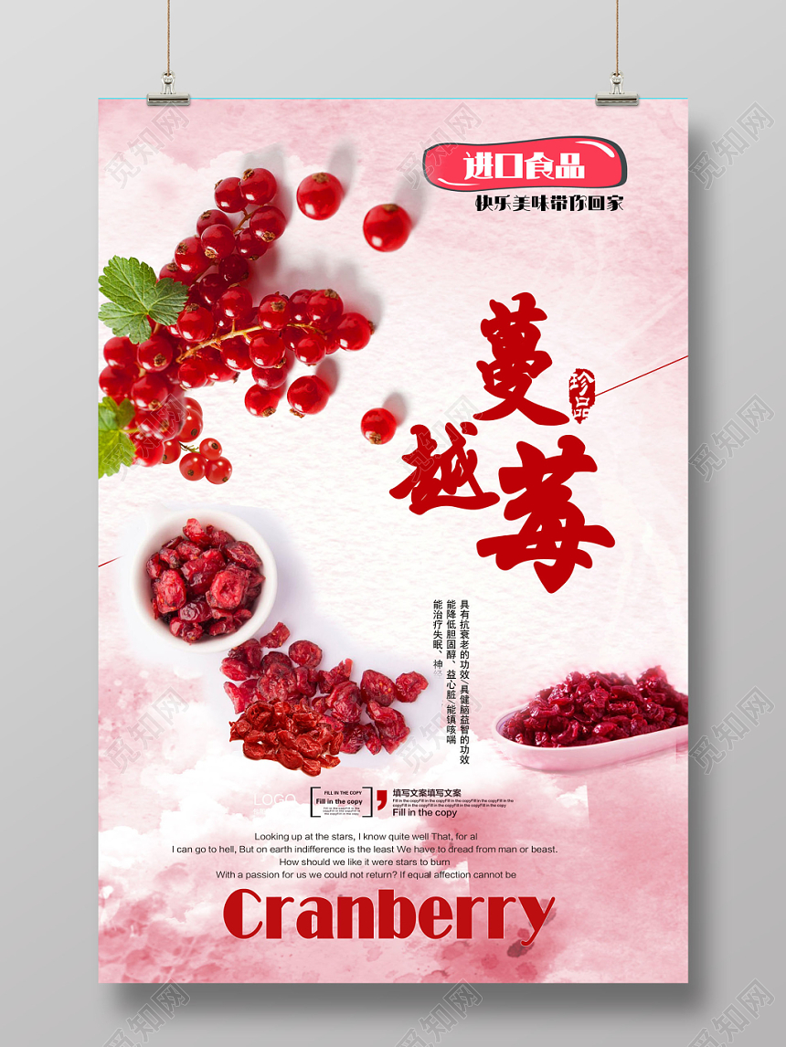 红色美味进口蔓越莓水果果干食品海报