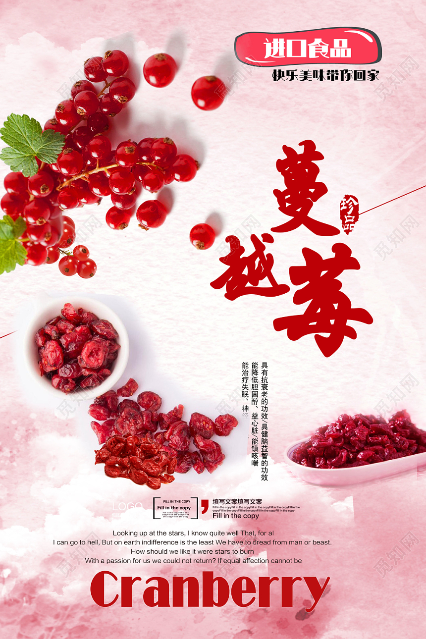 红色美味进口蔓越莓水果果干食品海报