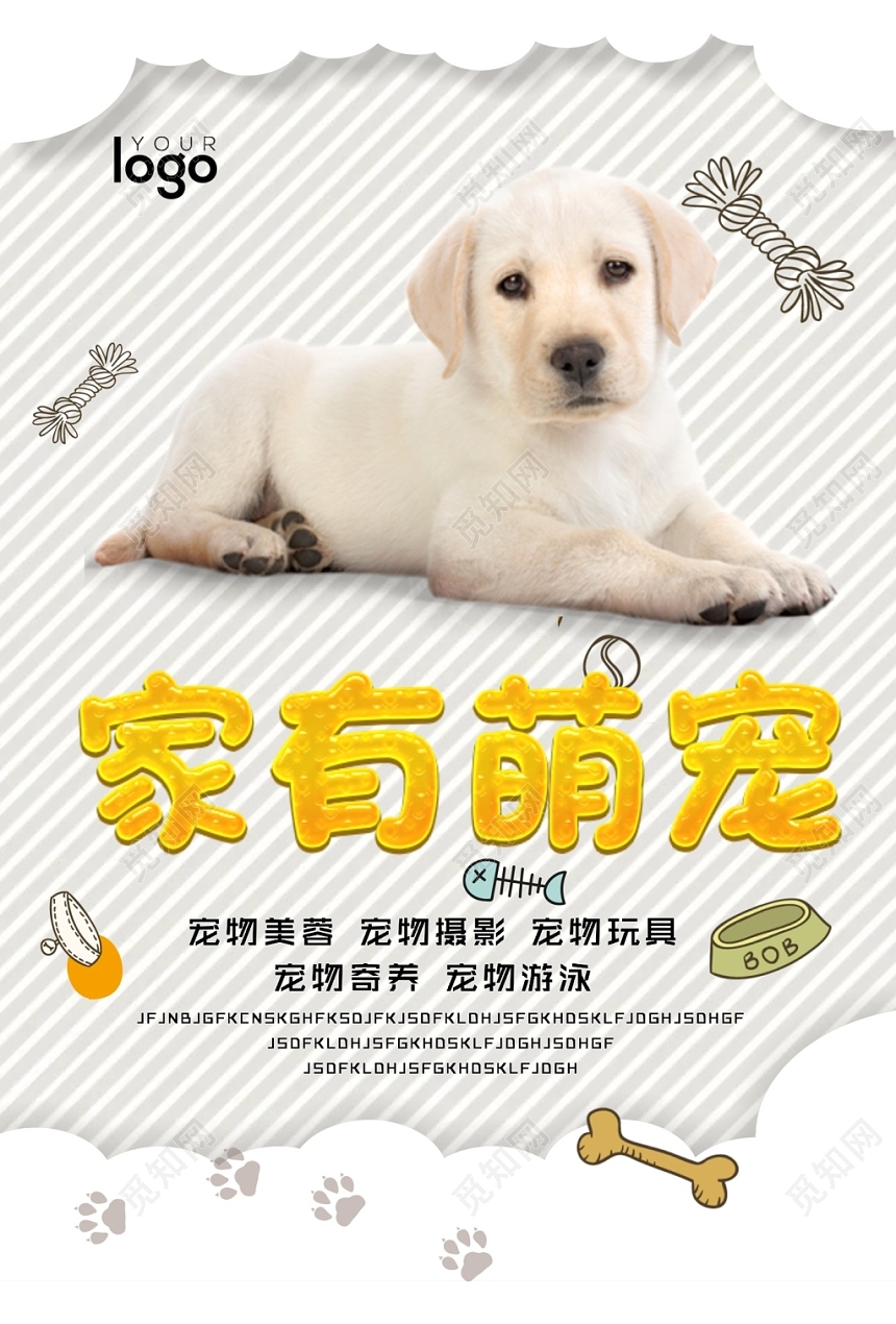 灰色动物宠物店可爱简约宣传营销海报