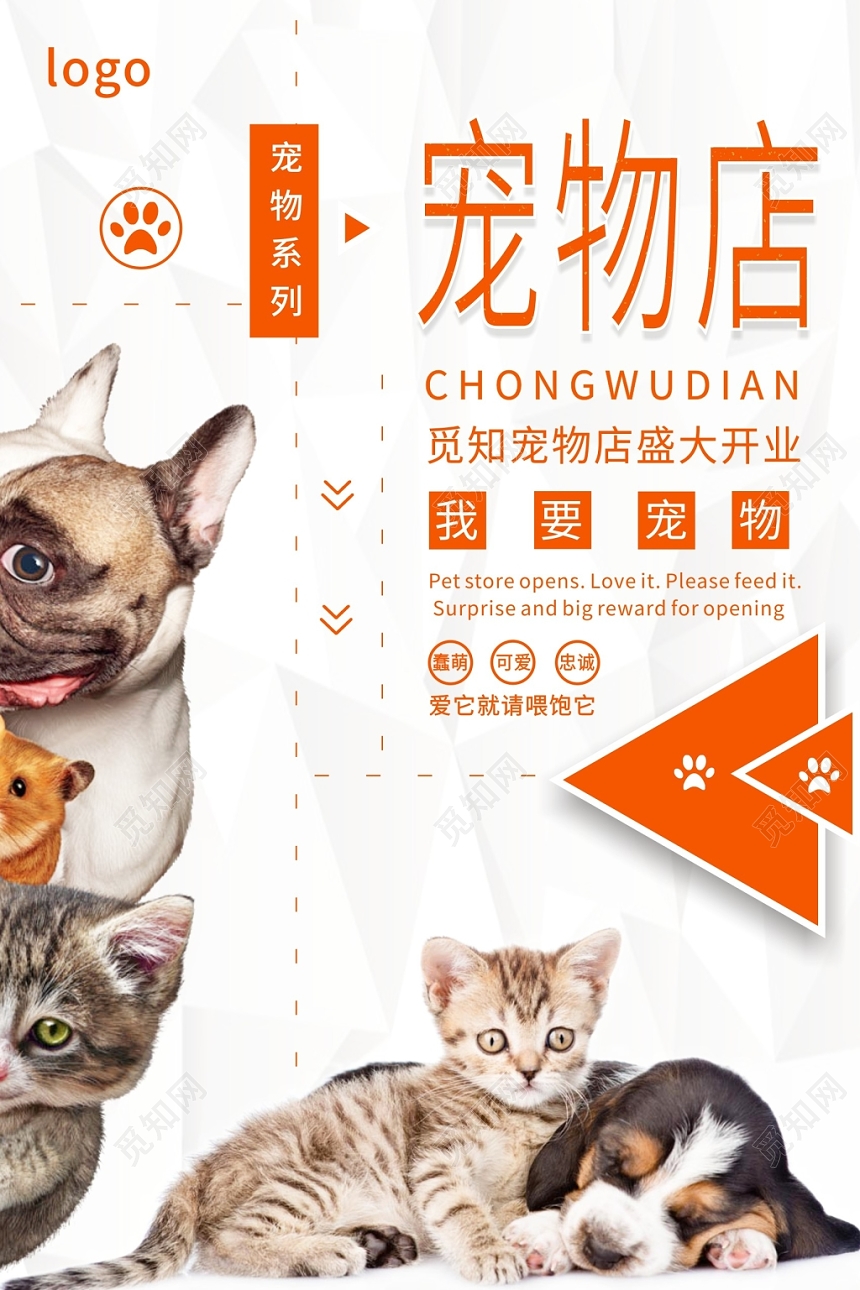 橙白动物宠物店简约宣传海报