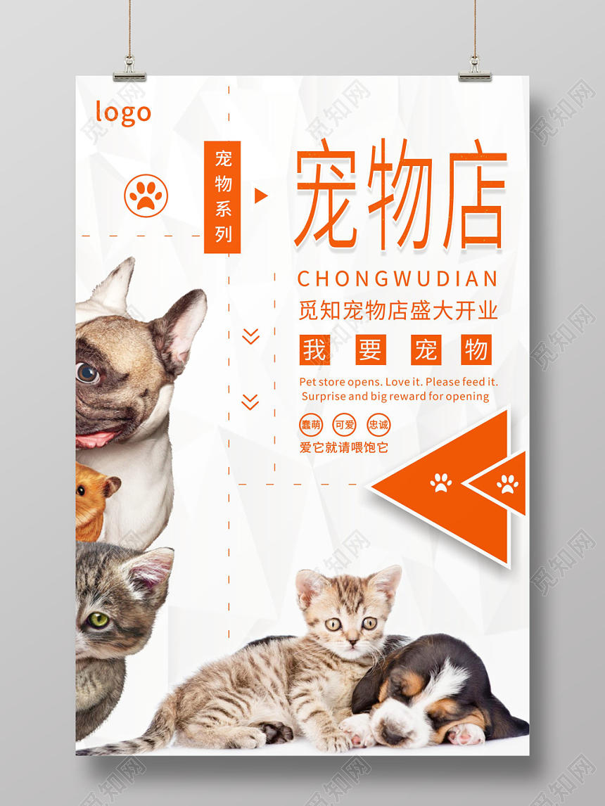 橙白动物宠物店简约宣传海报