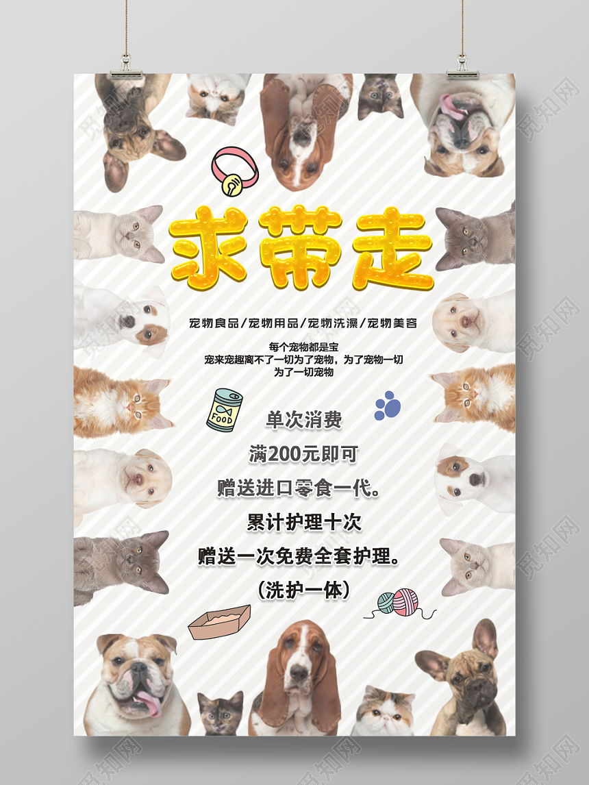 灰色动物宠物店可爱简约宣传海报