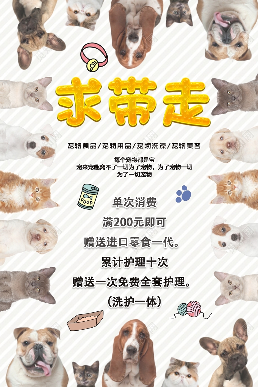 灰色动物宠物店可爱简约宣传海报