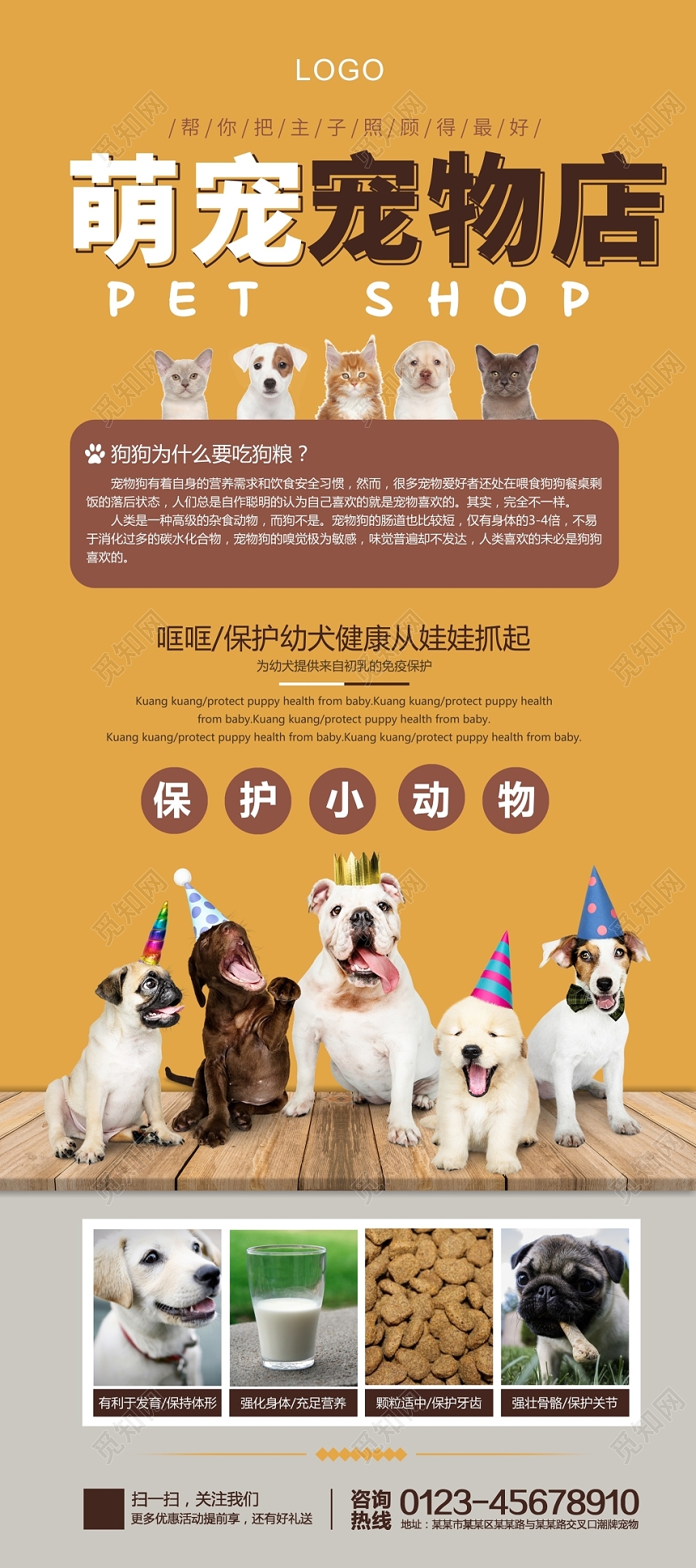 橙色宠物店动物简约宣传活动易拉宝