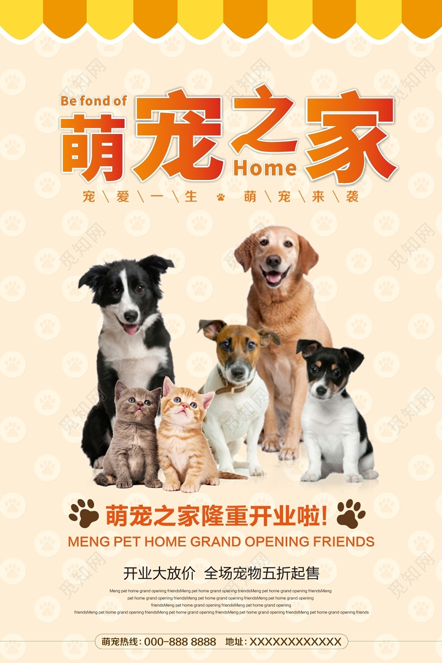 橙色动物宠物店简约宣传海报