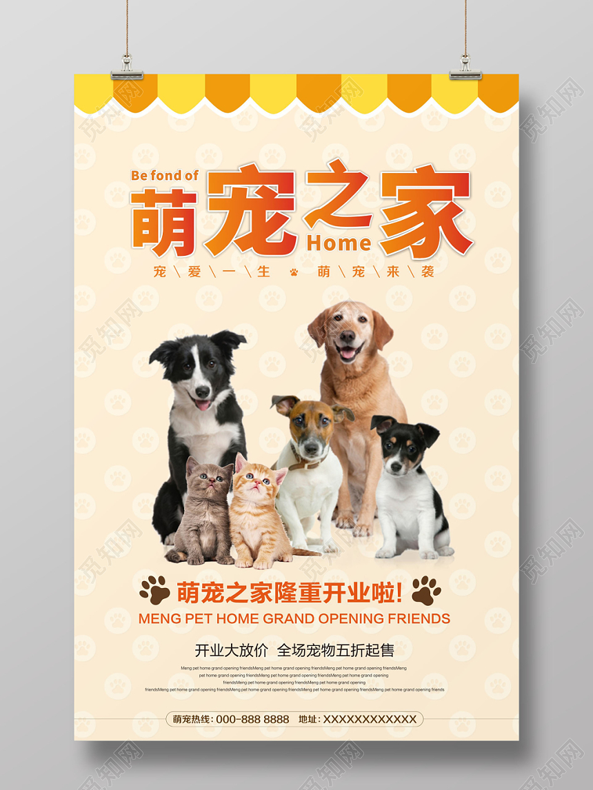 橙色动物宠物店简约宣传海报