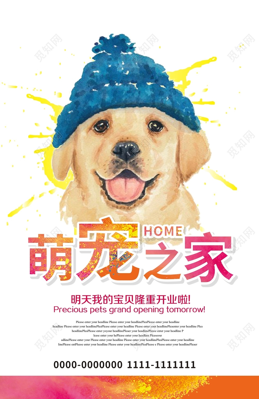 宠物店动物可爱宣传海报黄色