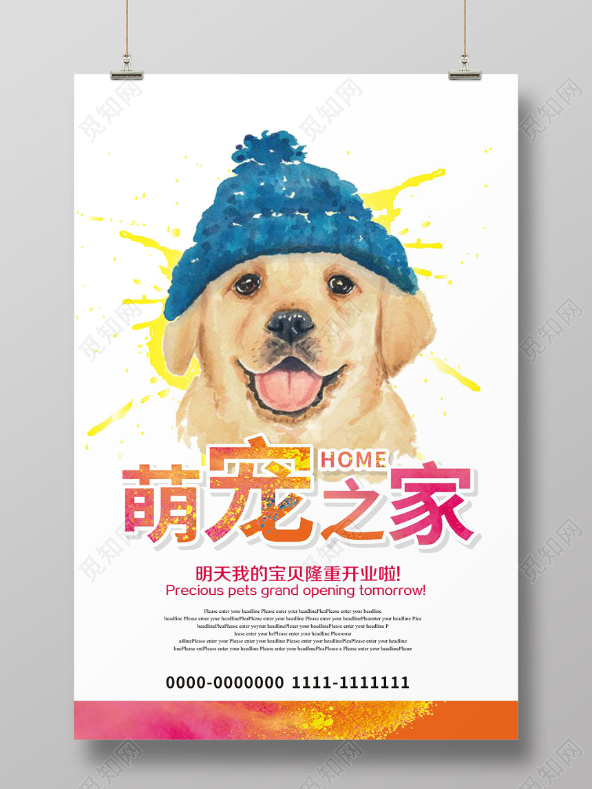 宠物店动物可爱宣传海报黄色