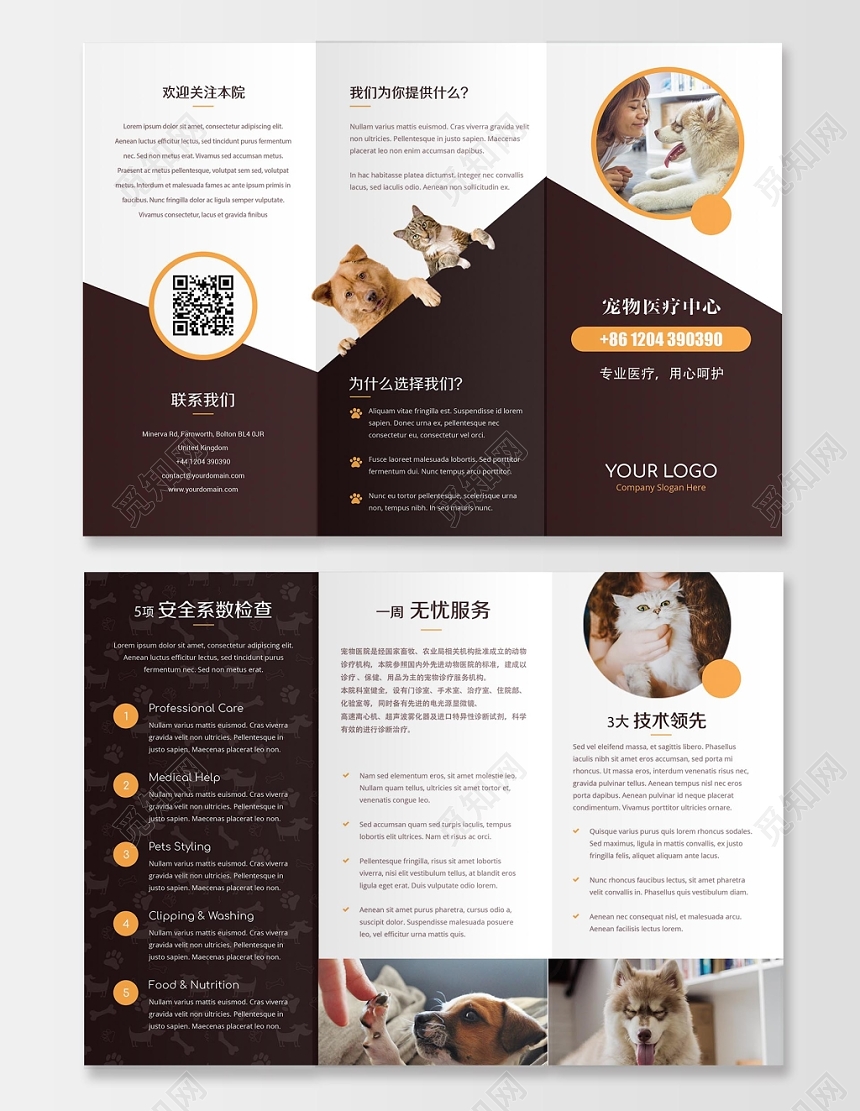 简约大气宠物店三动物宠物医疗中心宣传折页