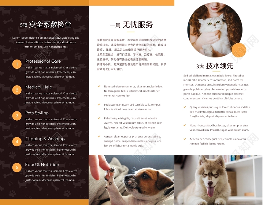 简约大气宠物店三动物宠物医疗中心宣传折页