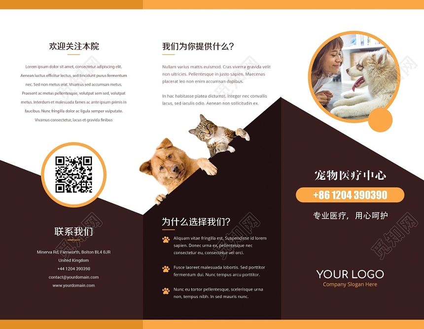 简约大气宠物店三动物宠物医疗中心宣传折页