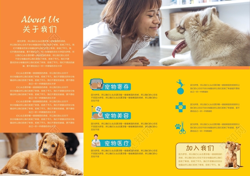 清新可爱宠物店萌宠之家动物宣传三折页