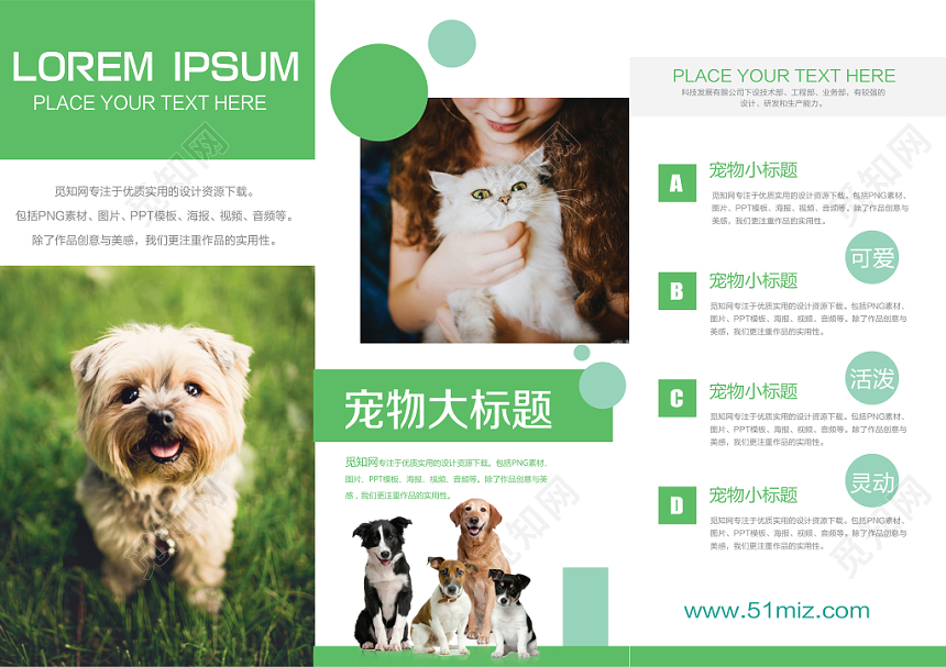 简约清新创意宠物店动物宣传三折页