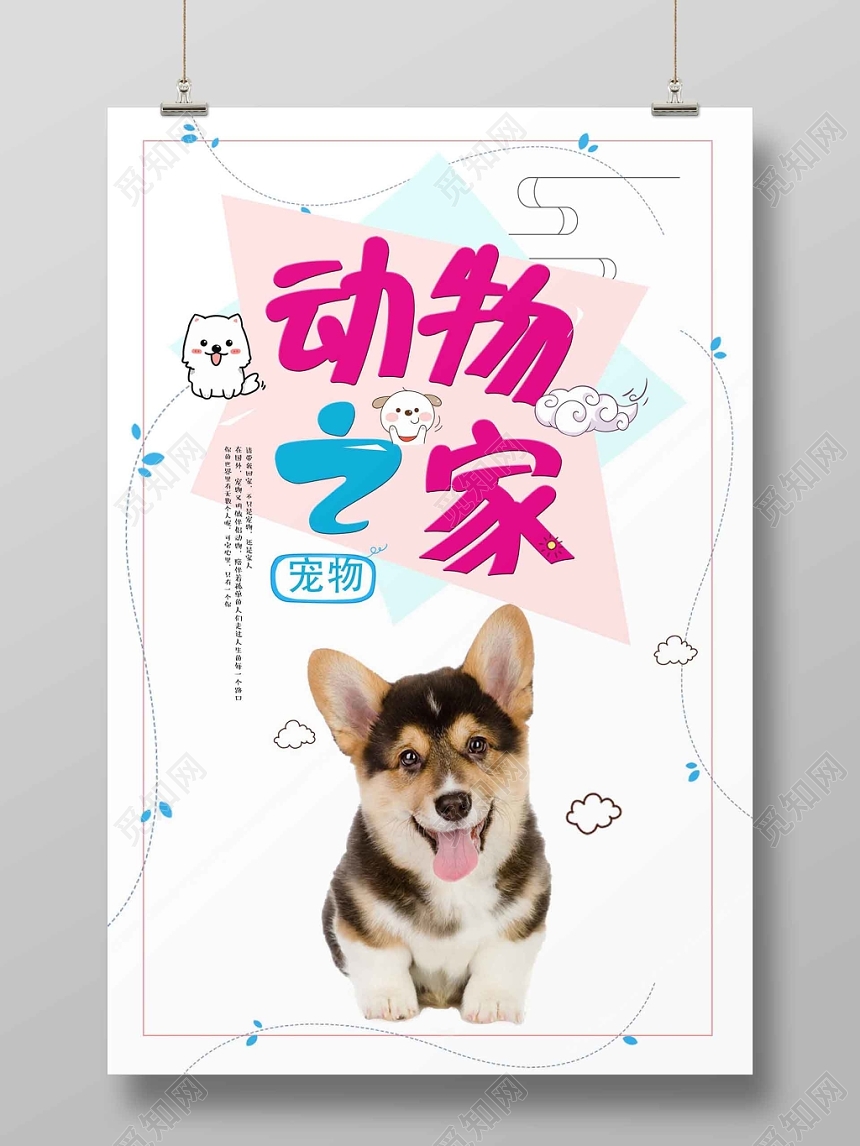 宠物店新品打折促销海报