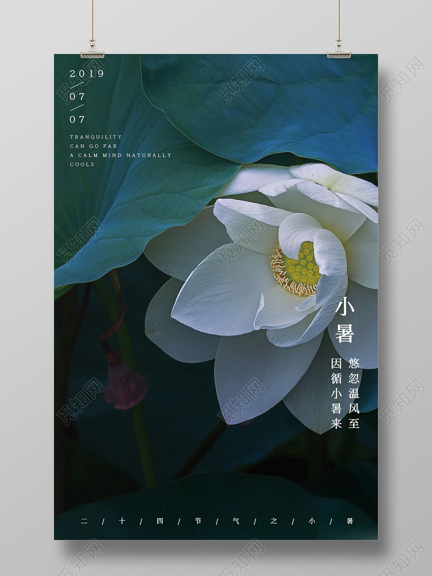中式荷叶荷花二十四节气之小暑海报