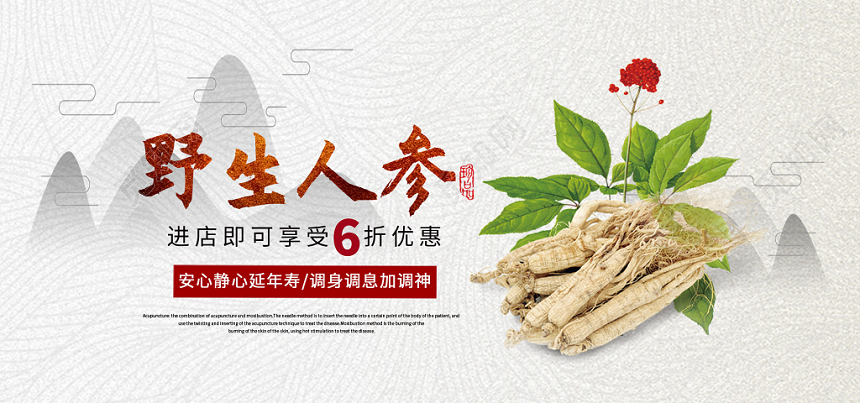 野生人参养生淘宝天猫电商食品banner