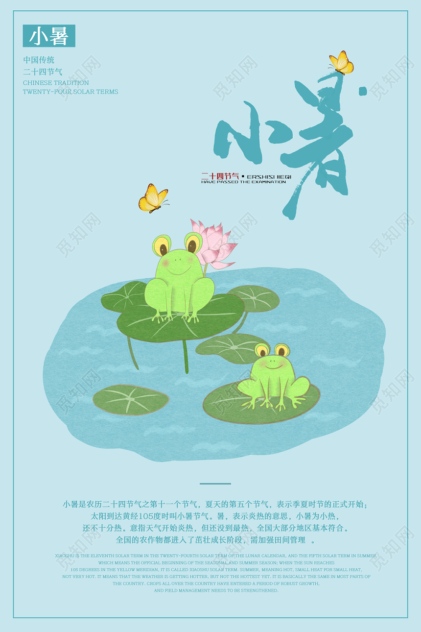 手绘插画简约青蛙荷叶荷花池塘二十四节气小暑海报