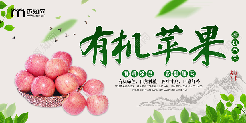 纯色叶子背景有机苹果生鲜苹果水果展板