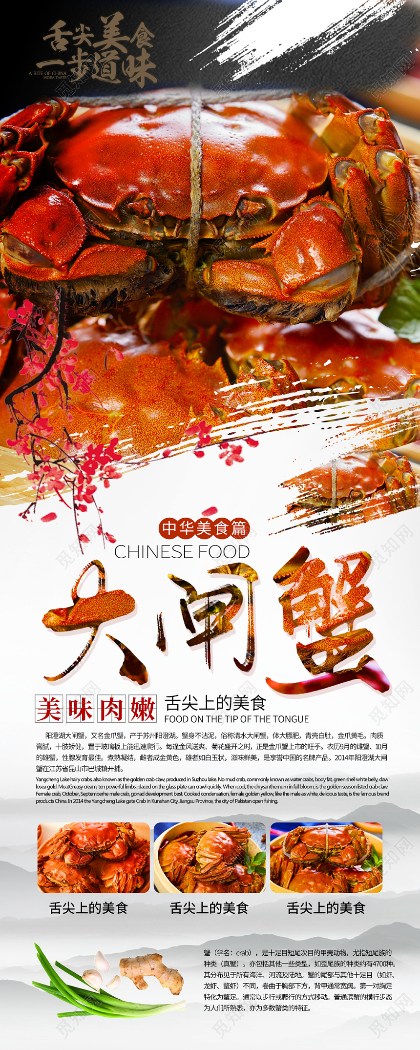 大闸蟹中国风美食易拉宝展架设计