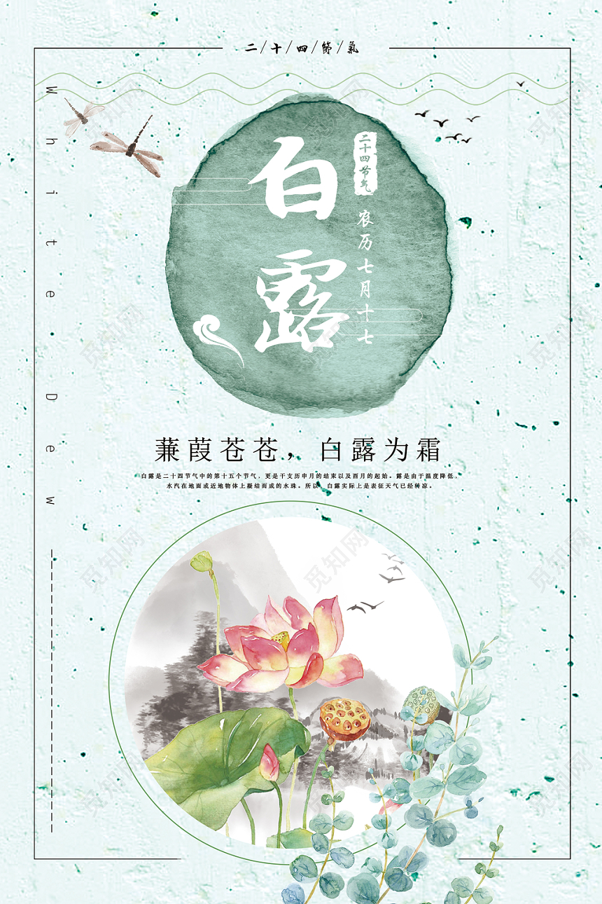 中国风传统文化二十四节气白露宣传海报