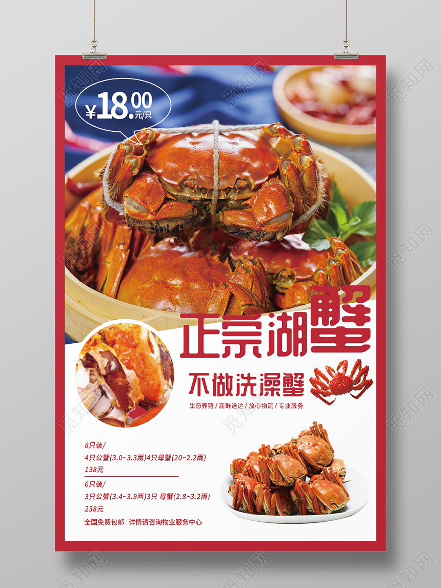 正宗湖蟹大闸蟹美食海报设计