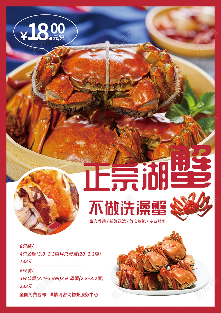 正宗湖蟹大闸蟹美食海报设计