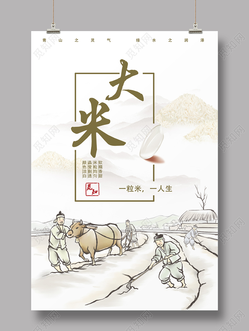 白色简约田地牛牛一粒米一人生大米五谷杂粮农作物海报