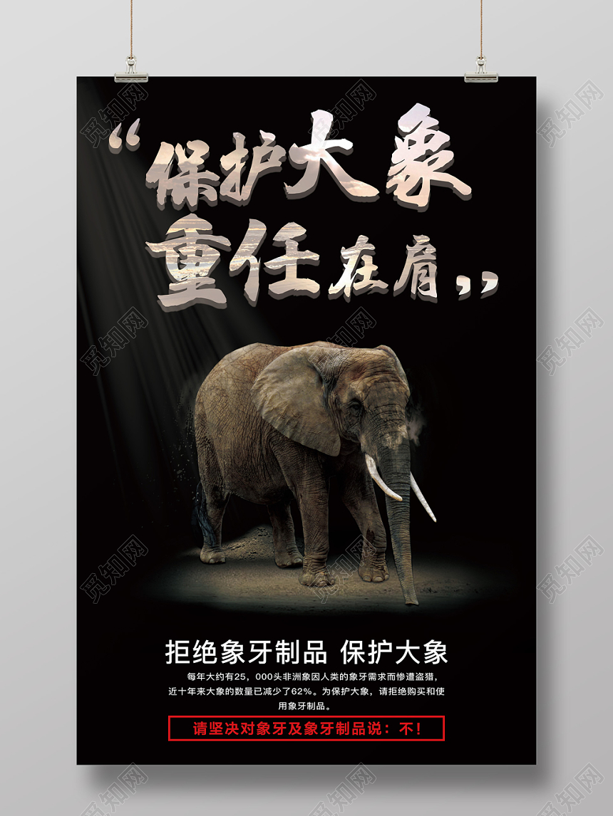 保护动物野生动物大象公益海报模板设计