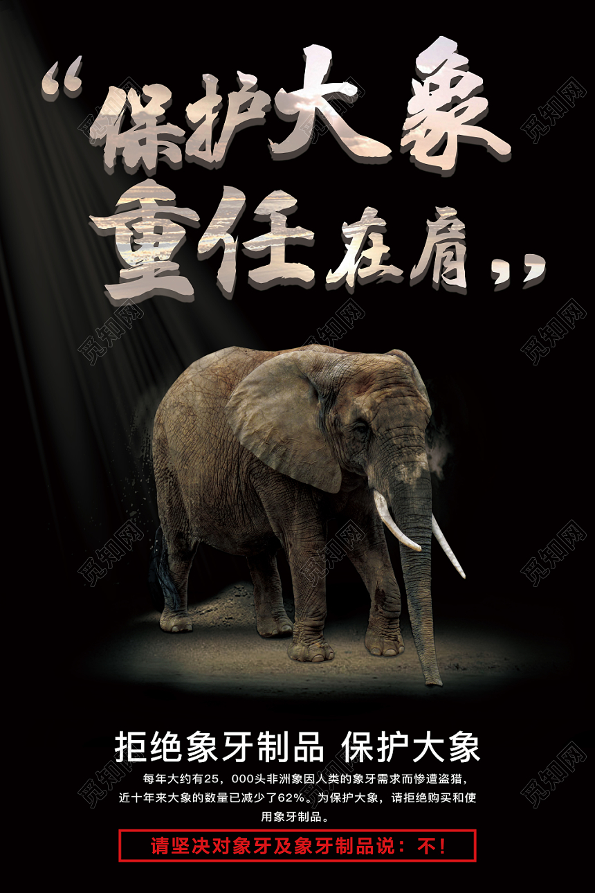 保护动物野生动物大象公益海报模板设计