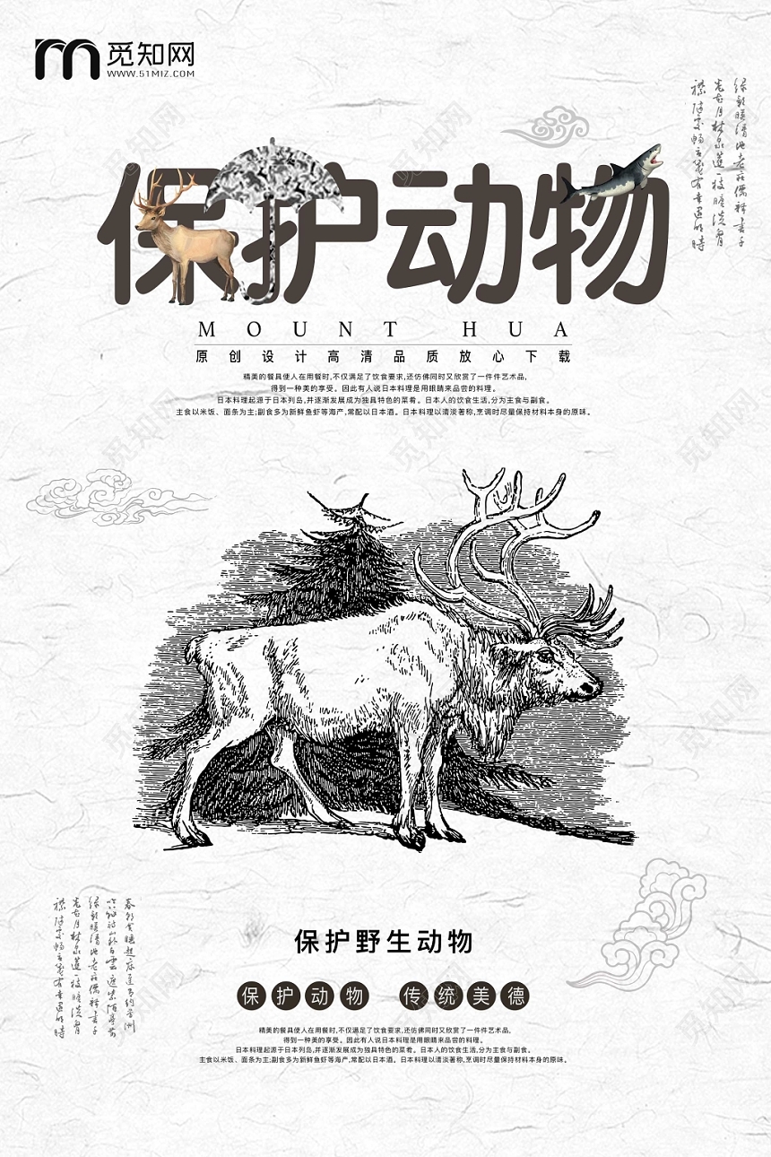创意保护动物野生动物公益动物园海报宣传设计