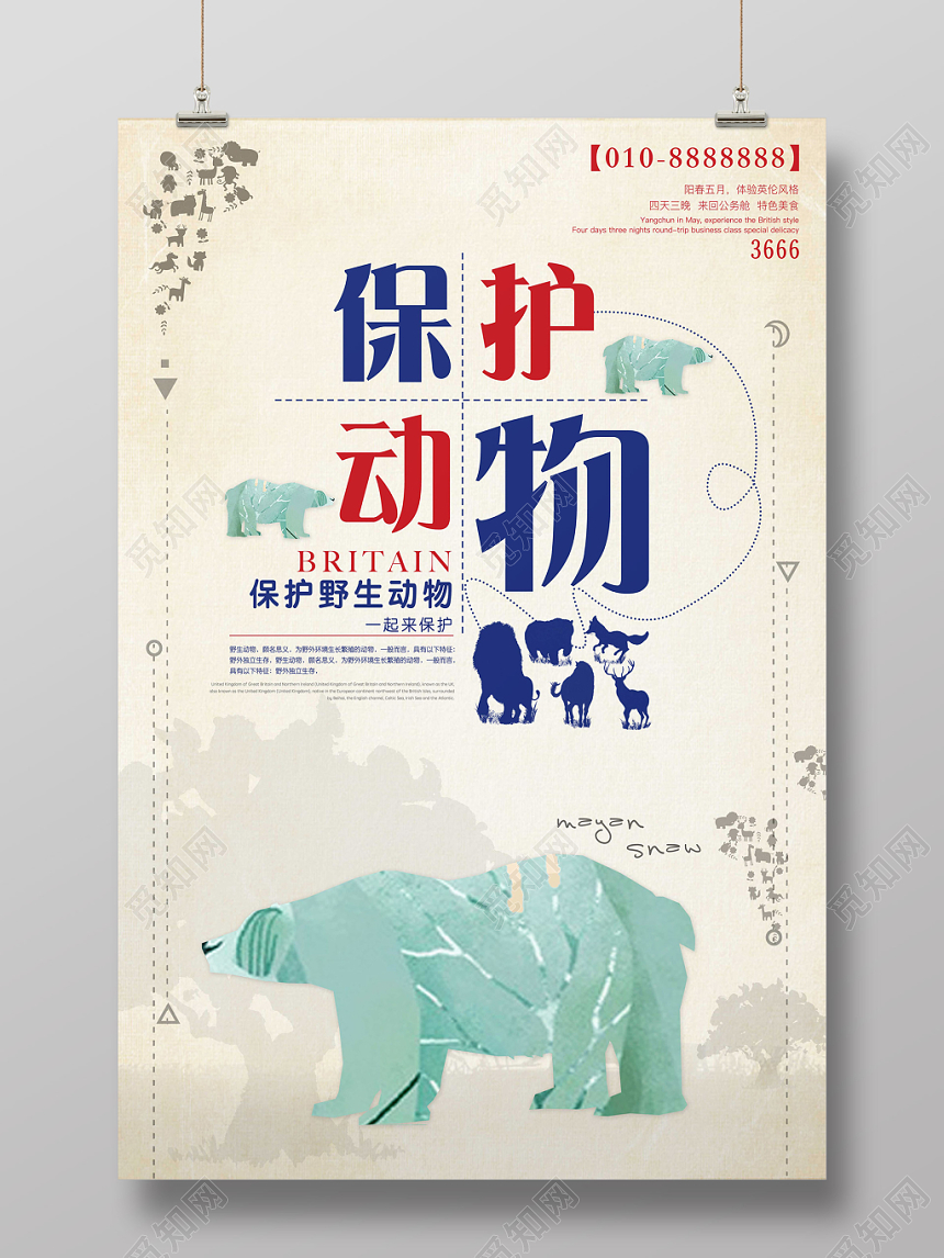 创意保护动物野生动物公益宣传海报